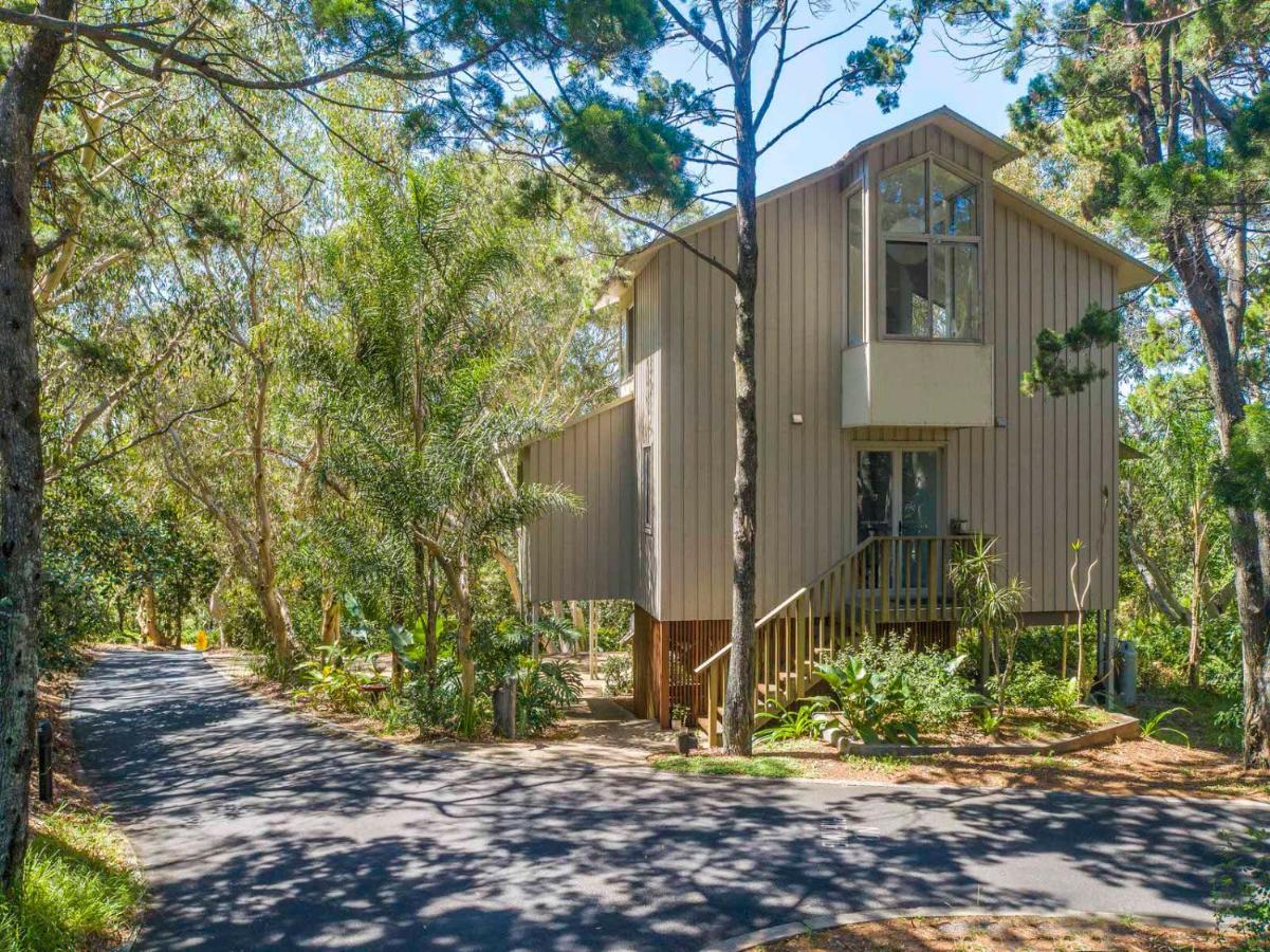 The Oasis Apartments And Treetop Houses Byron Bay Exterior foto
