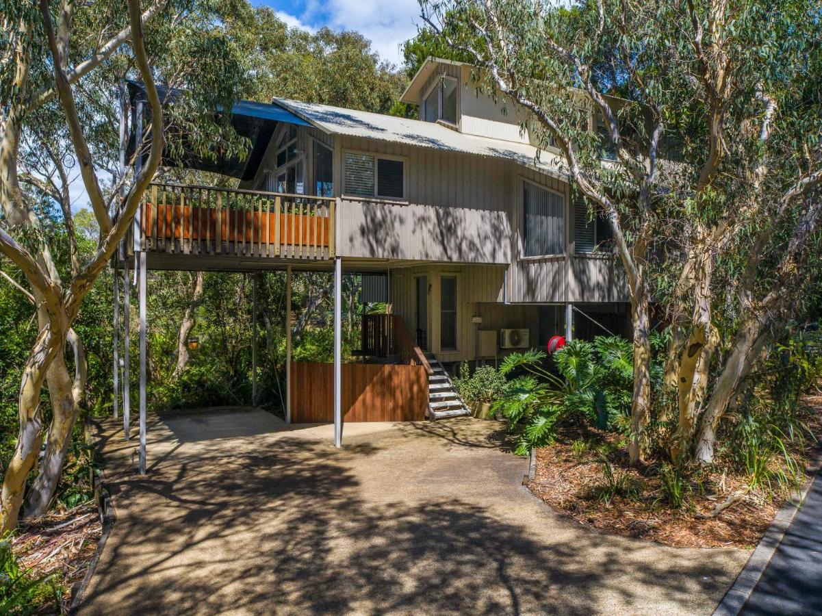 The Oasis Apartments And Treetop Houses Byron Bay Exterior foto